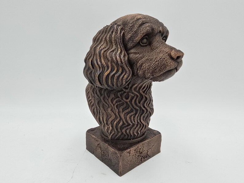 Cavapoo Bust image 3
