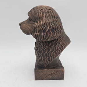 Cavapoo Bust image 7
