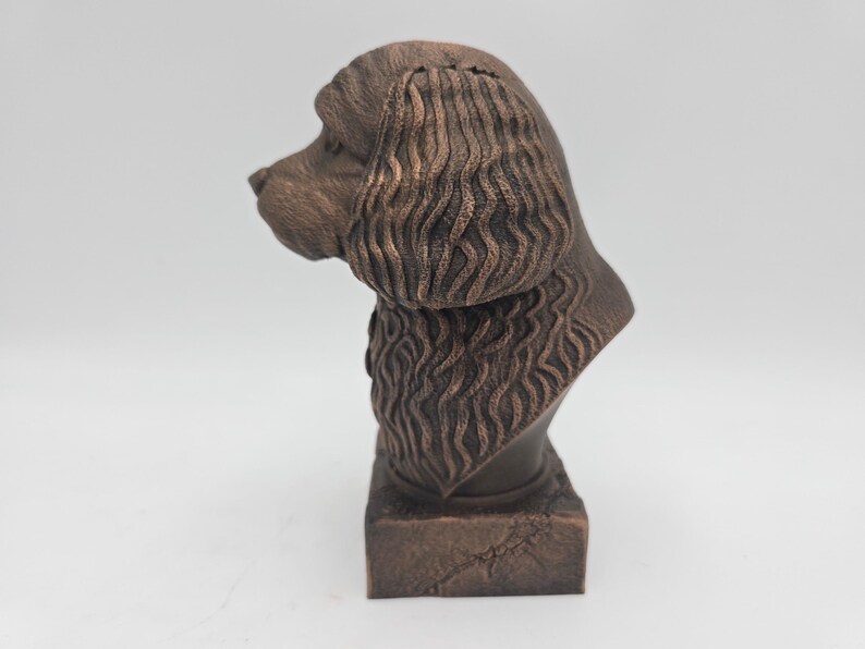 Cavapoo Bust image 7