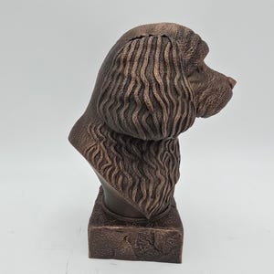 Cavapoo Bust image 4