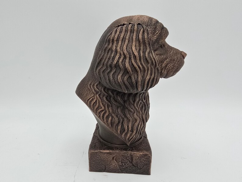 Cavapoo Bust image 4