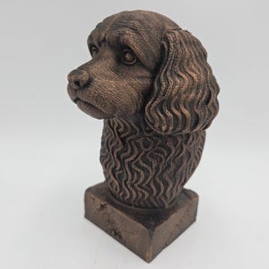 Cavapoo Bust