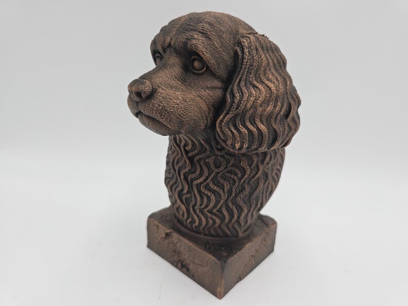 Cavapoo Bust image 1