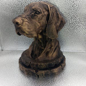 Busto de puntero