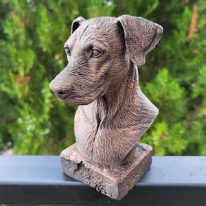 Detaljerad bystskulptur av dobermannhund (15 cm hög)