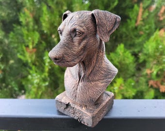 Detaillierte Dobermann-Büste (15 cm hoch)