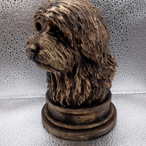 Tibetan Terrier Bust