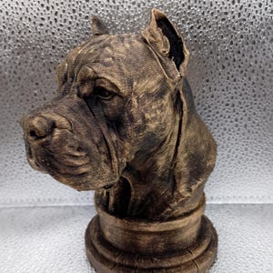 Presa Canario Bust
