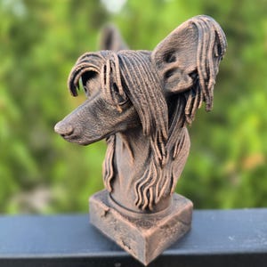 Chinese Crested Bust