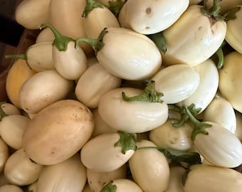 5 libras de berenjena blanca africana recién cosechada / Verduras frescas africanas EE. UU.