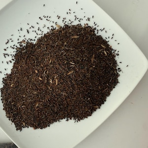 Puede incluir: Un plato cuadrado blanco lleno de un montón de pequeñas semillas de color marrón oscuro. Pequeñas semillas negras están esparcidas por los bordes del plato. Las semillas son probablemente para plantar o cocinar.