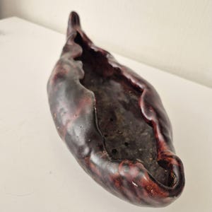 Può includere: Una ciotola decorativa scura, di forma oblunga, con una superficie strutturata. La ciotola è principalmente marrone scuro con accenti marrone-rossiccio. Ha una forma organica unica con un'estremità appuntita e rialzata e un'ampia apertura.