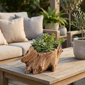 Rustikaler Sukkulenten-Pflanztopf aus Treibholz, Bonsai-Topf aus Zement, Blumentopf in Holzoptik, Mini-Gartendekoration, Pflanzgefäß im natürlichen Stil für drinnen und draußen