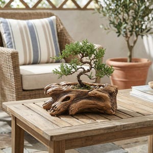 Rustikaler Sukkulenten-Pflanztopf im Treibholz-Stil, Bonsai-Topf aus Zement, Blumentopf in natürlicher Holzoptik, Mini-Gartendekoration für drinnen und draußen