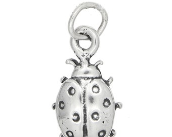 Sterling Silver Ladybug Charm (3d Charm) -with Options