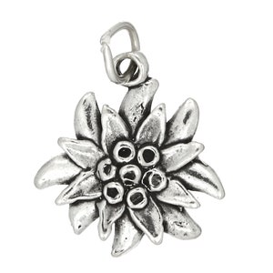 May include: A silver charm in the shape of an Edelweiss flower. The flower has five petals and a center with eight small circles.