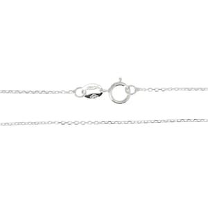 May include: A silver chain necklace with a lobster clasp closure.