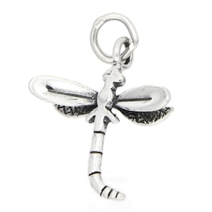 May include: A silver dragonfly charm with detailed wings and a curled tail. The charm has a loop at the top for attaching to a necklace or bracelet.