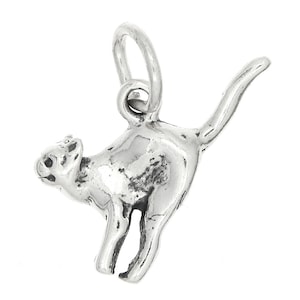 Scared Alley Cat Halloween Sterling Silver Oxidized Double Sided Charm  (with Options)