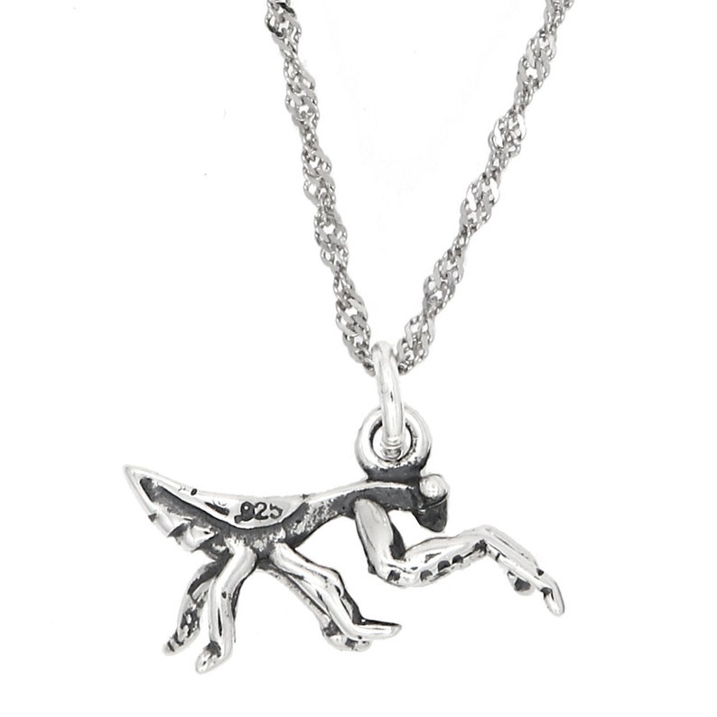 Sterling Silver Praying Mantis Charm with Options image 4