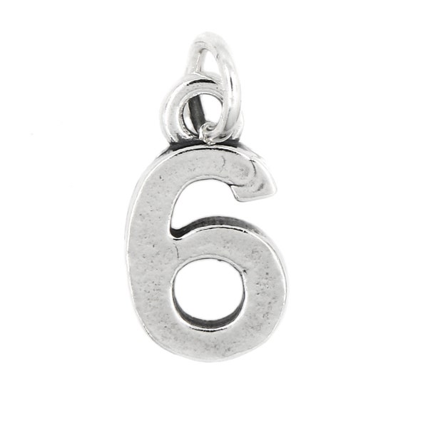 Sterling Silver Number 6 Years Six Charm Pendant