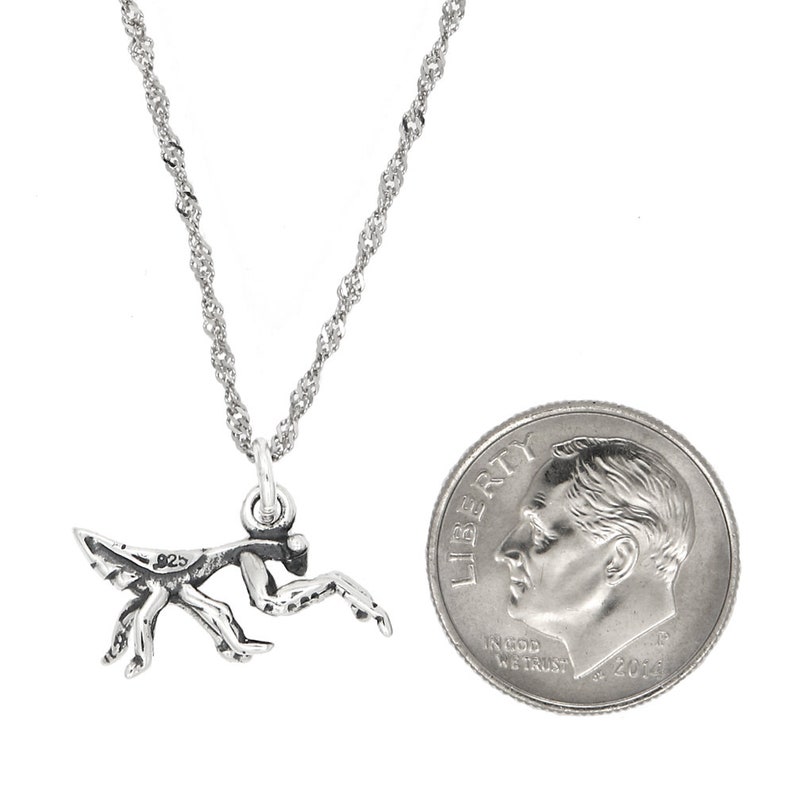 Sterling Silver Praying Mantis Charm with Options image 5