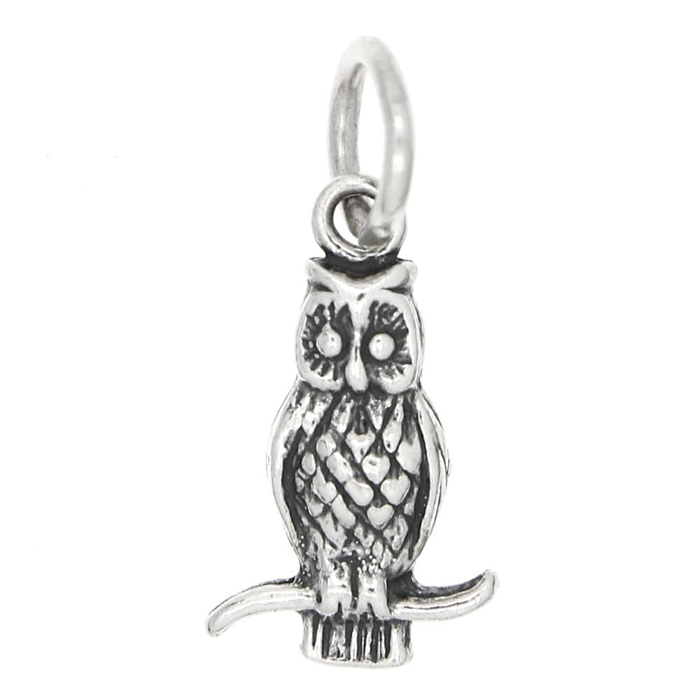 Owl Sterling Silver Oxidized One Sided Charm -with Options