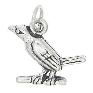 Wren Bird on Branch Sterling Silver Charm (Flat Charm) -with Options