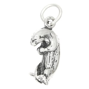 Eating Fish Charm with ONE Split Ring Charms,Pendant and Bracelet by Easy to be happy Sterling SilverOtter Holding