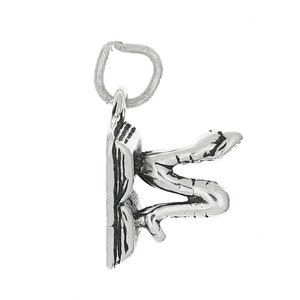 Open Book and Bookworm Sterling Silver Charm -with Options