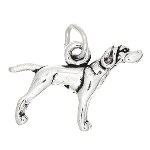 May include: Silver charm of a standing dog with a loop for attaching to a bracelet or necklace.