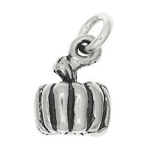 Pumpkin Sterling Silver Small 3D Charm -with Options