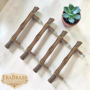 May include: Four bamboo-style cabinet pulls in a warm brown finish, each with a silver screw. The pulls are arranged diagonally on a light-coloured surface. A small succulent in a terracotta pot is in the background.