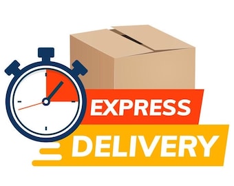 May include: A graphic illustration featuring a brown cardboard box positioned behind a dark blue stopwatch with an orange face. Below the box, two horizontal banners display the white text EXPRESS DELIVERY in bold capital letters.