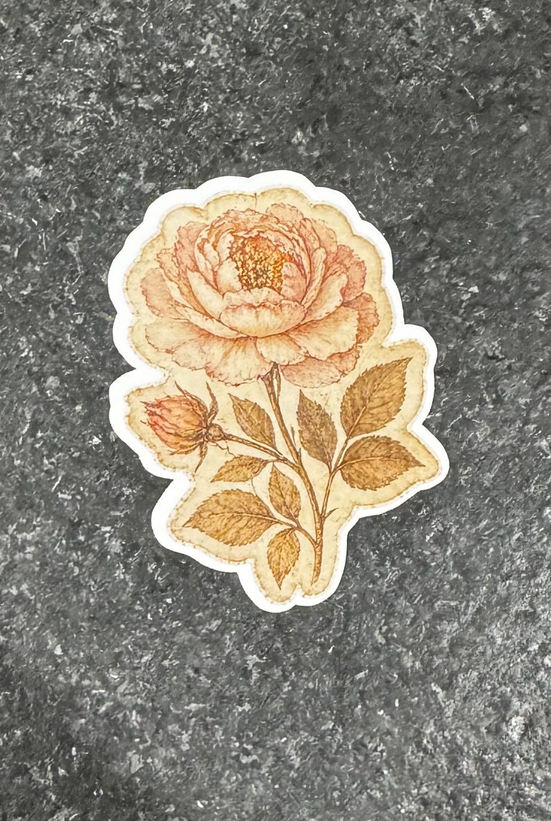 Op de afbeelding: Een sticker met een gedetailleerde illustratie van een perzikroos met bruine bladeren en stengel. De bloem staat in volle bloei, met een gedetailleerd centrum en een zachte, vintage esthetiek. De sticker heeft een witte rand.