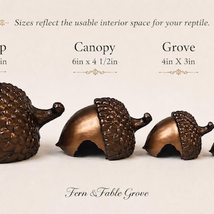 May include: Four bronze-colored acorn-shaped reptile hides in descending sizes. Text labels include Treetop 9in x 6 1/2in, Canopy 6in x 4 1/2in, Grove 4in x 3in, and Sprout 2in x 1 1/2in. The text Fern & Fable Grove is at the bottom.