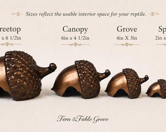 Woodland Acorn Hide | Reptile & Invertebrate Hide | Bioactive Safe Enclosure Decor