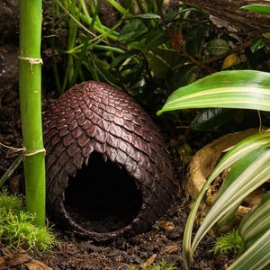 Op de afbeelding: Een donkerbruine, eivormige schuilplaats voor reptielen met een textuur van schubben en een enkele ronde opening aan de voorzijde. De holle structuur is ontworpen om een beschutte ruimte te bieden aan kleine dieren.
