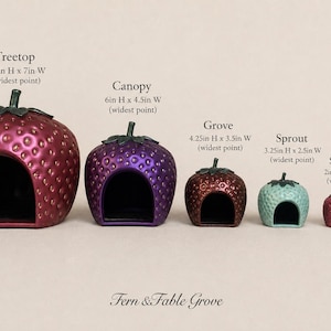 Peut inclure: Cinq abris en forme de fraise de tailles décroissantes étiquetés Treetop (21,6 cm H x 17,8 cm L), Canopy (15,2 cm H x 11,4 cm L), Grove (10,8 cm H x 8,9 cm L), Sprout (8,3 cm H x 6,4 cm L) et Seedling (5,1 cm H x 3,8 cm L) à côté d'une pile.
