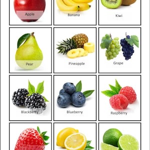Könnte beinhalten: Ein Raster von Obstbildern, jeweils mit seinem Namen beschriftet. Die Früchte umfassen einen Apfel, Bananen, Kiwi, Birne, Ananas, Trauben, Brombeeren, Blaubeeren, Himbeeren, eine Erdbeere, Zitronen und Limetten. Der Hintergrund ist weiß.