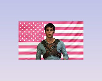 Thomas Maze Runner Pink American Flag Tapestry – Maze Runner Wall Art Decor | Movie Fan Flag | Aesthetic Pink Bedroom Decor