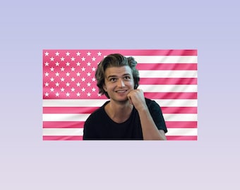 Joe Keery Pink American Flag Tapestry – Actor Wall Art Decor | Celebrity Fan Room Flag | Aesthetic Pink Bedroom Decor
