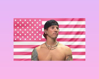 Josh Dun Pink American Flag Tapestry – Twenty One Pilots Wall Art Decor | Drummer Fan Room Flag | Aesthetic Pink Bedroom Decor