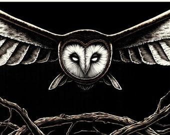 8 x 10" Bird of Prey Art Print - "Barn Owl"