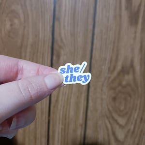 May include: A small die-cut sticker featuring the text "she/they" in a bold, blue, rounded font. The sticker has a white border and is shaped to follow the contours of the lettering, creating a clean and distinct visual presentation of the pronouns.