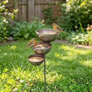 May include: A tiered, metal bird feeder with three bowls, each filled with birdseed. Two small birds with orange and brown plumage perch on the bowls. The feeder is set in a grassy yard with a wooden fence in the background.