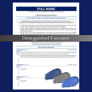May include: A resume template for a Chief Financial Officer, featuring a dark blue header and footer with white text. The resume includes sections for professional experience and skills, with a sample of achievements. The image also includes a color palette.