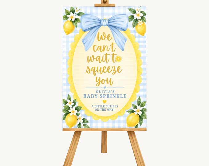 We Can’t Wait to Squeeze You Baby Sprinkle Welcome Sign – Blue