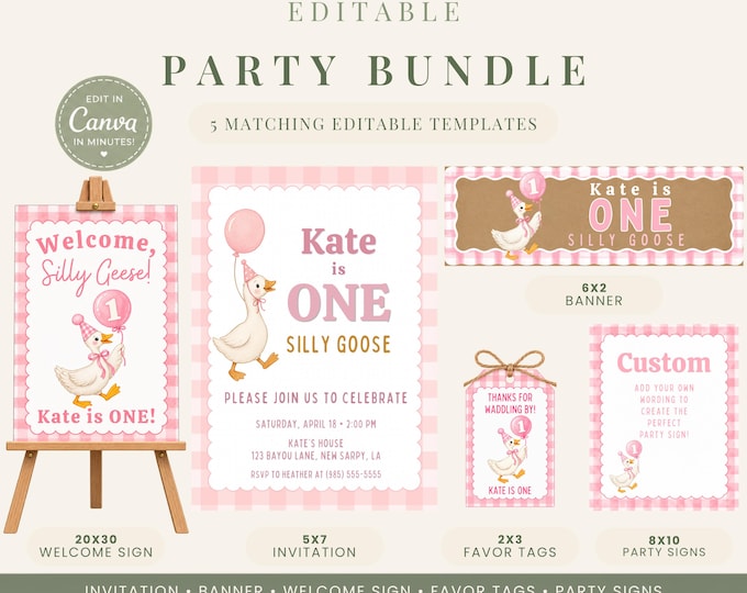 One Silly Goose First Birthday Party Bundle - Pink