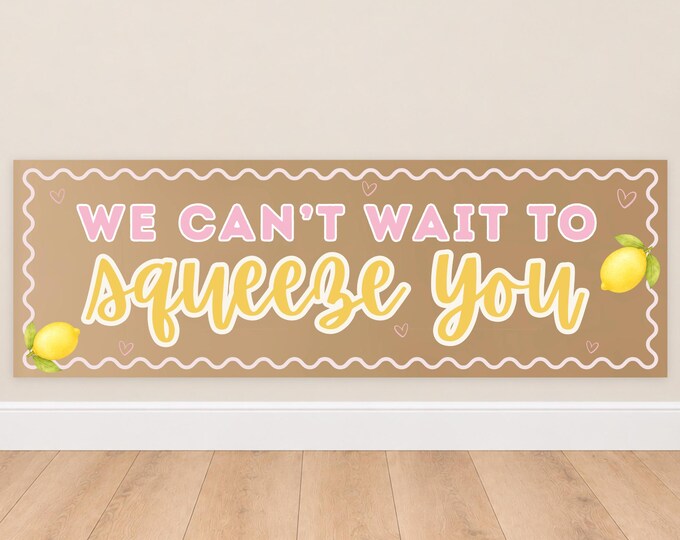 We Can't Wait to Squeeze You Baby Shower Banner - Pink